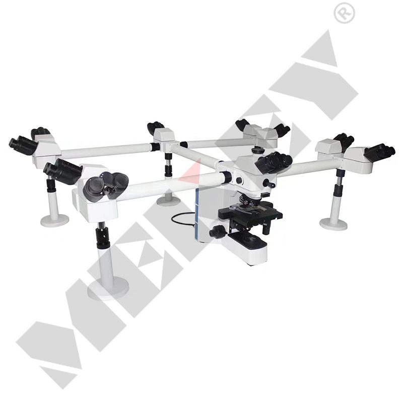 MIC-Y50MV 10 heads multi-viewing micro system, photographed by the factory on white