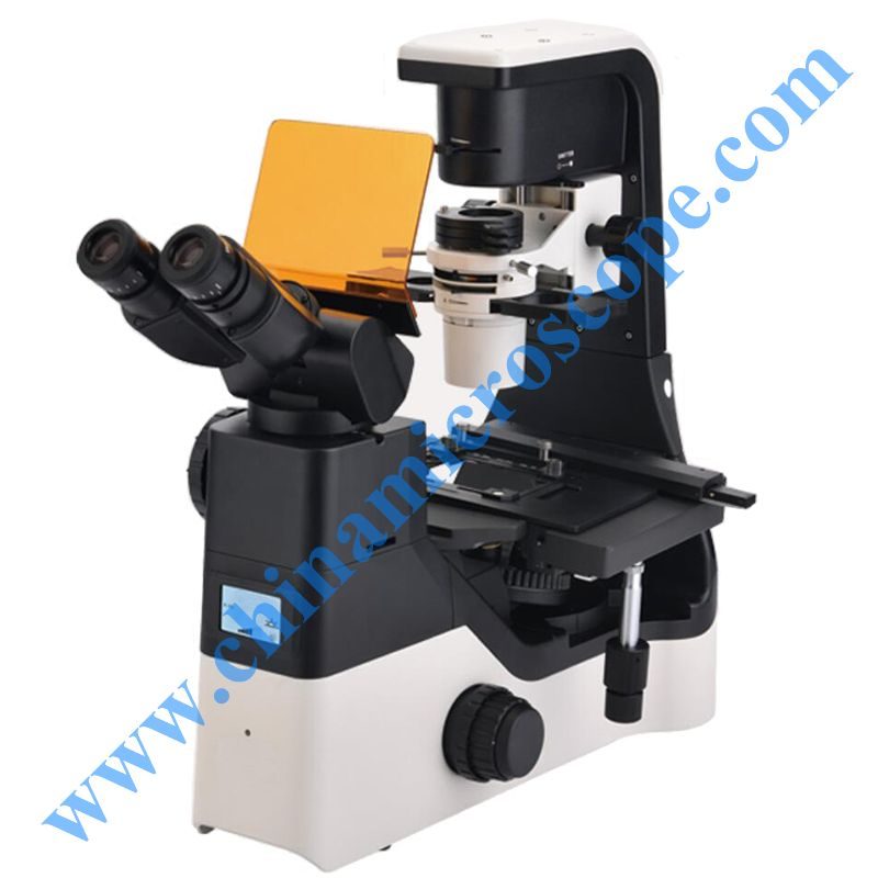 XDS-C610 inverted fluorescence microscope, photographed by the factory on white